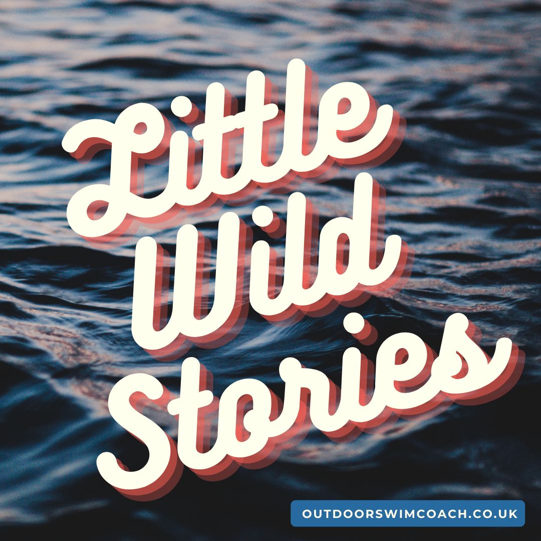 Little wild swim&nbsp;stories